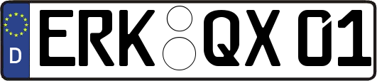 ERK-QX01