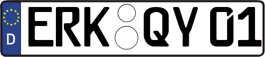 ERK-QY01