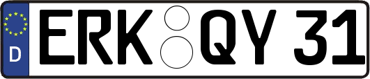 ERK-QY31