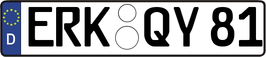 ERK-QY81