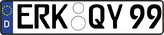 ERK-QY99