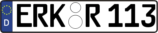 ERK-R113