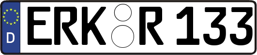 ERK-R133