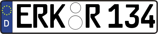 ERK-R134