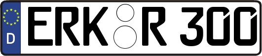 ERK-R300