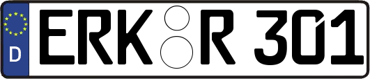 ERK-R301