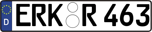 ERK-R463