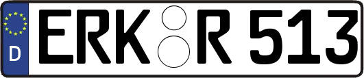 ERK-R513