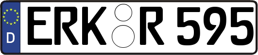 ERK-R595