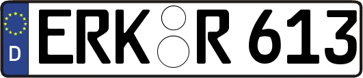 ERK-R613