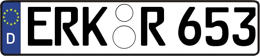 ERK-R653