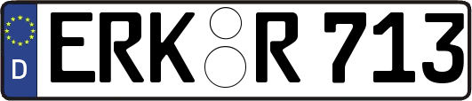 ERK-R713