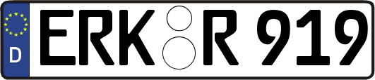 ERK-R919