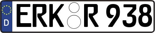 ERK-R938