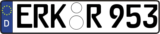 ERK-R953