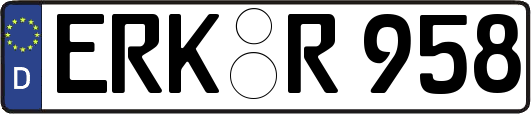 ERK-R958