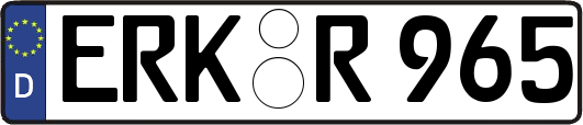 ERK-R965