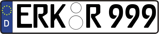 ERK-R999