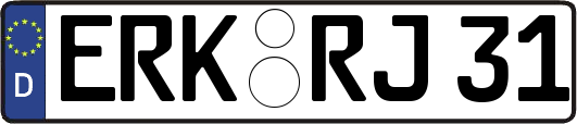 ERK-RJ31