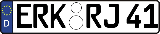 ERK-RJ41