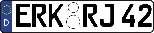 ERK-RJ42