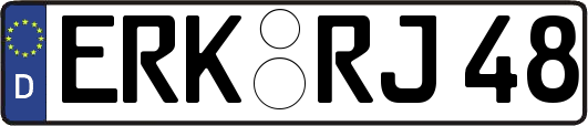 ERK-RJ48