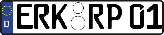 ERK-RP01