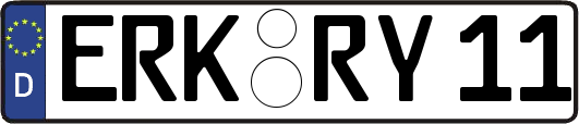 ERK-RY11