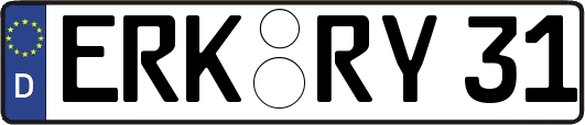 ERK-RY31