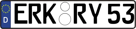 ERK-RY53