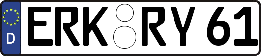 ERK-RY61