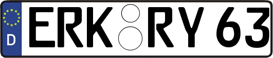 ERK-RY63