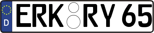 ERK-RY65