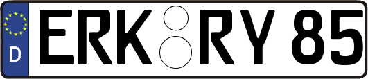 ERK-RY85