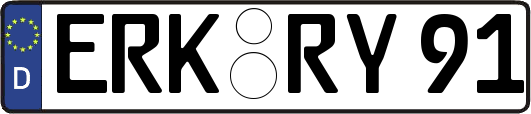 ERK-RY91