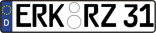 ERK-RZ31