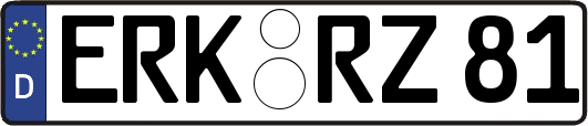 ERK-RZ81