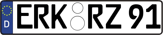 ERK-RZ91