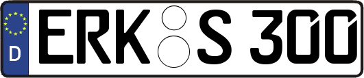 ERK-S300