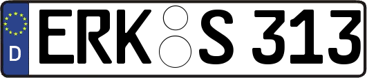 ERK-S313