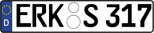ERK-S317