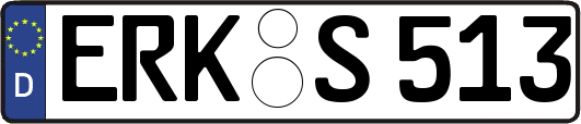 ERK-S513