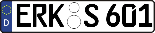 ERK-S601