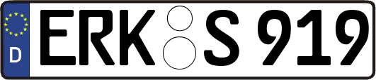 ERK-S919