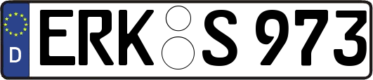 ERK-S973