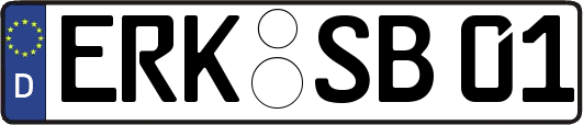 ERK-SB01