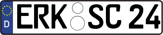 ERK-SC24
