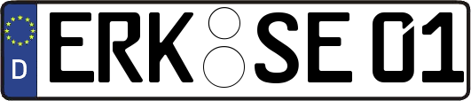 ERK-SE01