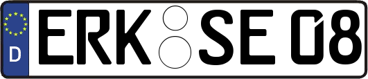 ERK-SE08
