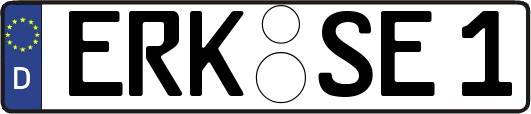 ERK-SE1